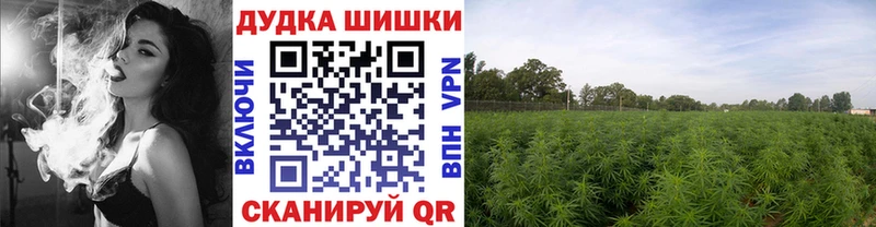 Продажа наркотиков Сим АМФ Конопля Мефедрон ГАШИШ Alpha PVP